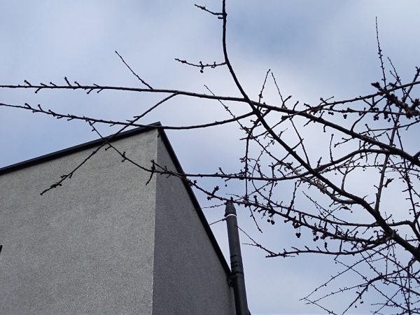 Oprava zateplené fasády: Praha