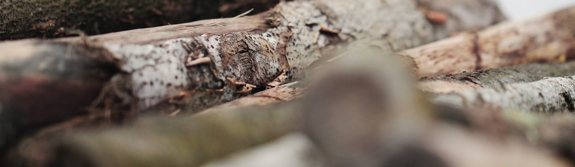 Jak na odkornění pokáceného dřeva